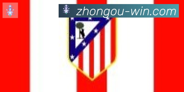 中欧体育合作伙伴